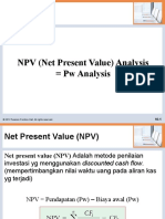 NPV Analysis