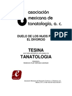 33 Duelo de Los Hijos Por El Divorcio (1)