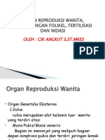 Organ Reproduksi Wanita, Perkembangan Folikel, Fertilisasi Dan Nidasi