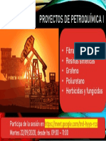Proyectos de Petroquímica I