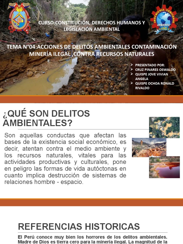 Impacto de la Minería Ilegal en Perú | PDF | Minería | Perú
