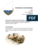 Antropología Practica 1