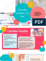 Cuerdas Vocales