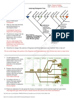 This Study Resource Was: Analyzing Phylogenetic Trees