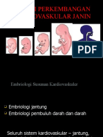 Fisiologi Perkembangan Kardiovaskular Janin