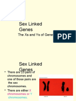 Sex Linked Genes: The Xs and Ys of Genetics