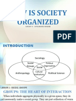 How Is Society Organized