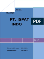 Ispat Indo 2010