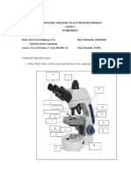 Microscope and Basic Plant Microtechnique Activity 2 Worksheet