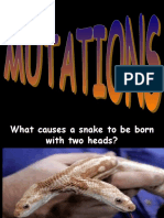 Mutations 2