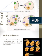 Teoradelaendosimbiosis 140127174128 Phpapp01