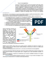 Inmunoglobulinas: Estructura y Funciones Básicas