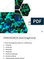 Predavanje ONKOGENEZA