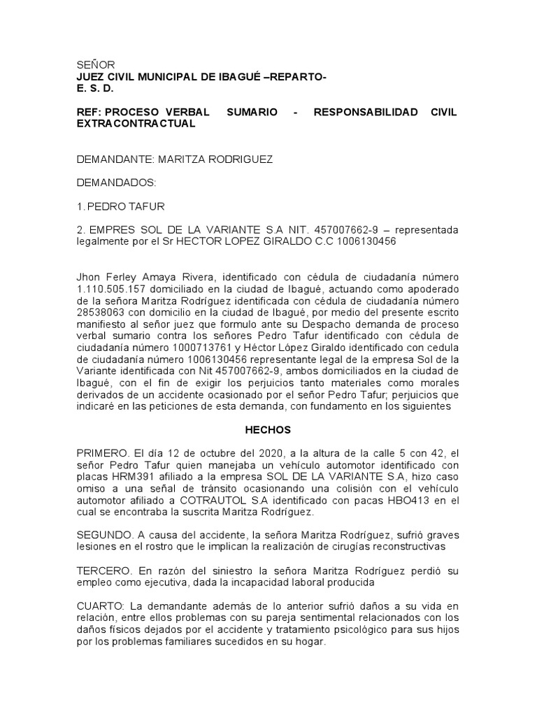 Demanda Proceso Verbal Sumario | PDF | Justicia | Crimen y violencia