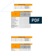 Ejemplo Modelo Matriz de Cargos Criticos