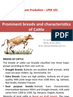 Lecture 4 Breeds of Cattle