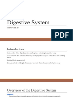 WEEK 2 - Chapter 17 - Digestive System