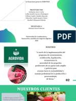 Datos Financieros Agrovida - Grupo 4