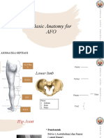 Basic Anatomy For AFO