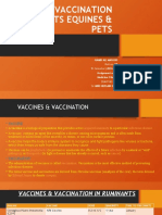 Vaccination in Pets Equines & Ruminants