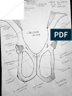 Document-WPS Office Practical OBSTRETICS