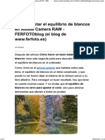 Cómo Ajustar El Equilibrio de Blancos en Adobe Camera RAW - FERFOTOblog