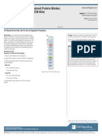 Color-Coded Prestained Protein Marker, Broad Range (11-250 Kda)