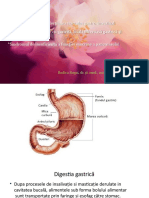 Gastrită Boală Ulceroasă Pancreatită-41585