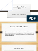 Fundamentos de Auditoria Unidad 1