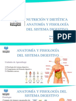 Glándulas Anexas Del Sistema Digestivo