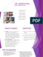 Informe de Laboratorio33