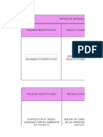 MATRIZ DE JERARQUIZACION