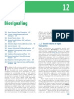 Chapter 12. Biosignaling