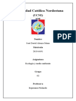 Eco Tarea Dos