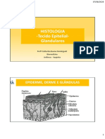 3_Histologia_tecido_epitelial_glandular