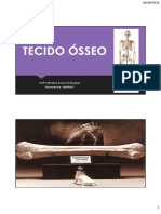 7 Histologia Tecido Osseo 1