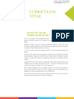 Curriculum Vitae