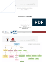 Mapa Conceptual La Lectura