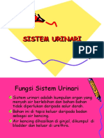 19711078-SISTEM-URINARI