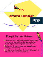 Sistem Urinari