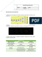 Reforcemos Los Conceptos Mitosis y Meiosis