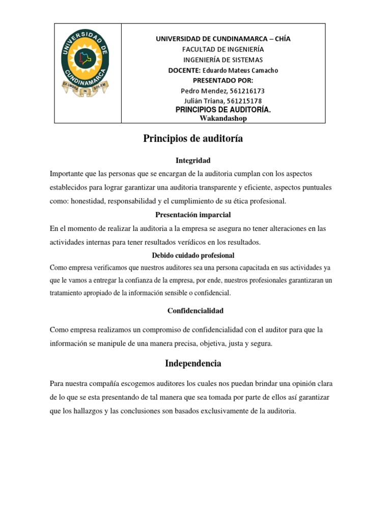 Principios De Auditoria Pdf Auditoría Business