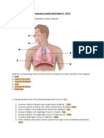 Ss Respiratory System Worksheet #2