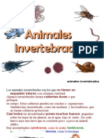 Invertebrados 091122132008 Phpapp01