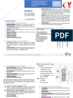 Semiologia Pulmonar