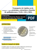 4.10 Función de Transporte de Lípidos en La Sangre, Lipoproteínas, Estructura y Función de Quilomicrones, VLDL, LDL y HDL.