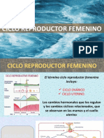 cicloreproductor