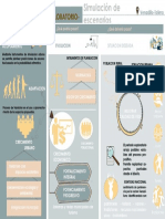 Infografia Mediano Plazo PDF