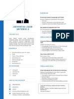 Curriculum Vitae - Adventus Juan A 