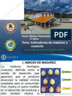 Indicadores de Madurez y Cosecha